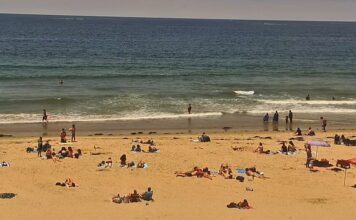 Waterbar Surf Cam Pacific Beach blank